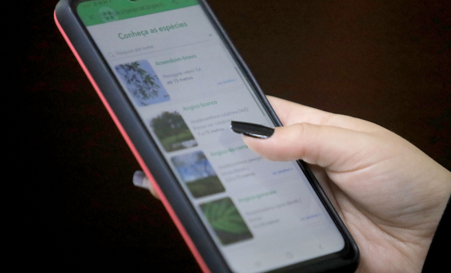 Aplicativo Paraná Mais Verde pode ser baixado no sistema Android