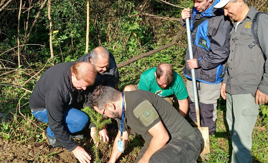 Manutenção das trilhas do Pico Paraná marcam início das atividades educativas da Semana do Meio Ambiente no Estado