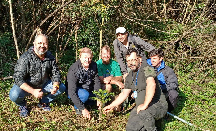 Manutenção das trilhas do Pico Paraná marcam início das atividades educativas da Semana do Meio Ambiente no Estado
