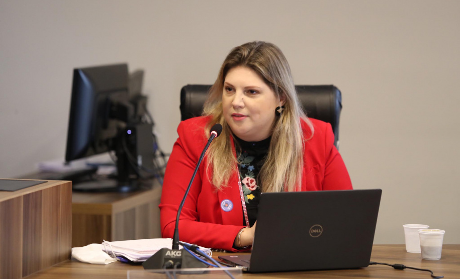 Sejuf participa de Audiência Pública sobre políticas de emprego e renda