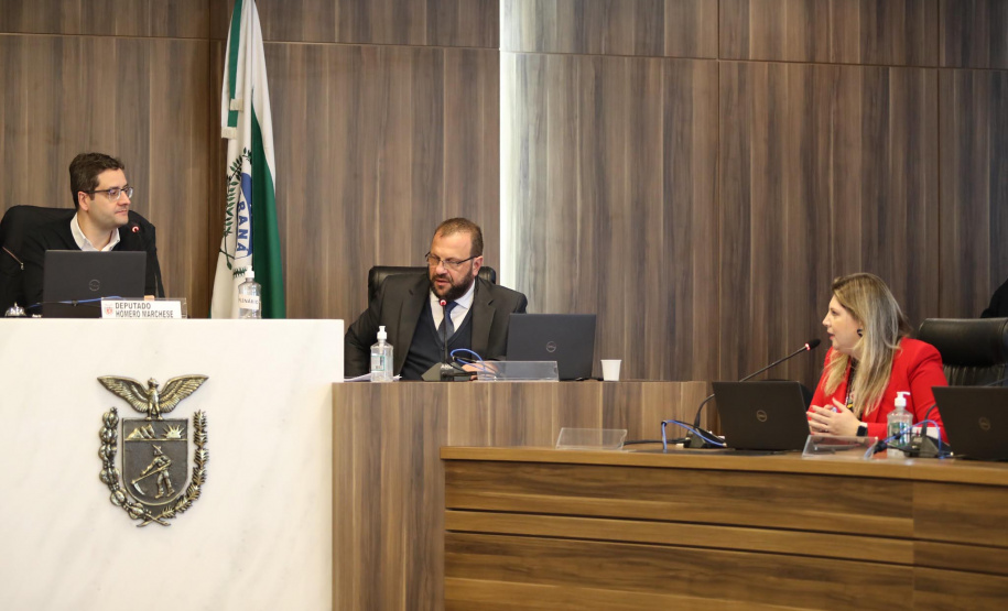 Sejuf participa de Audiência Pública sobre políticas de emprego e renda