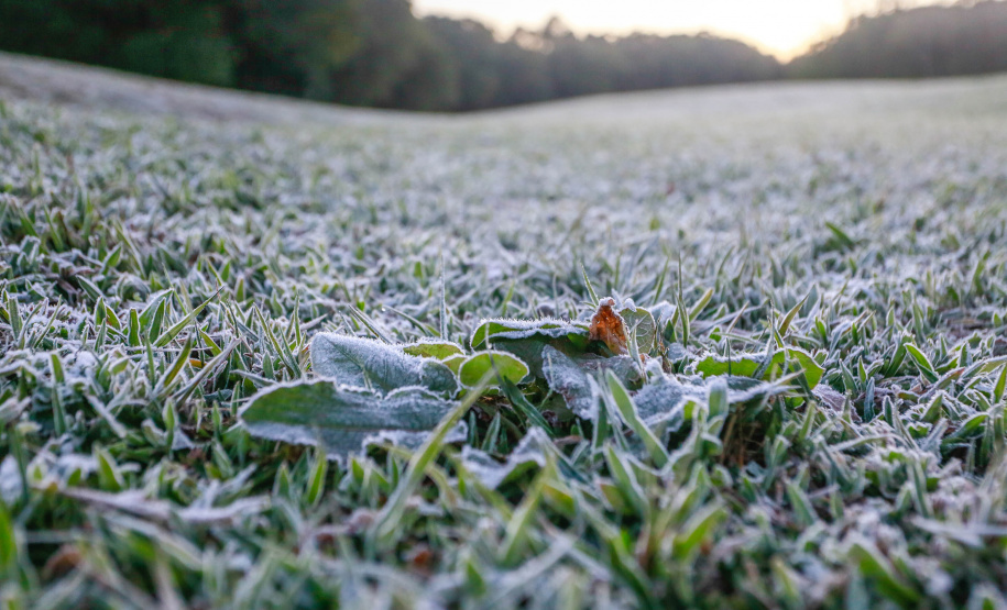 Paraná registra temperaturas mais baixas do ano nesta terça-feira
