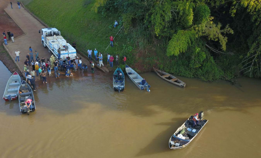 Paraná atinge a marca de 2 milhões de peixes nativos soltos em Bacias Hidrográficas