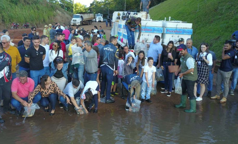 Paraná atinge a marca de 2 milhões de peixes nativos soltos em Bacias Hidrográficas
