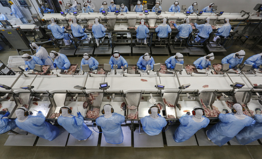 Status sanitário impulsiona investimentos em frigoríficos no Paraná