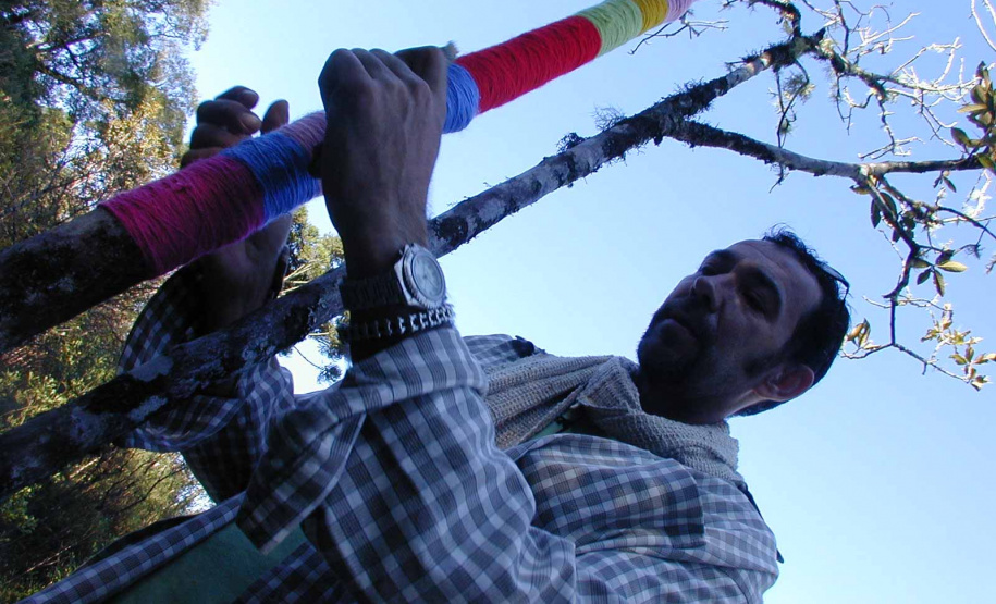 Legado de Faxinal das Artes segue relevante vinte anos depois