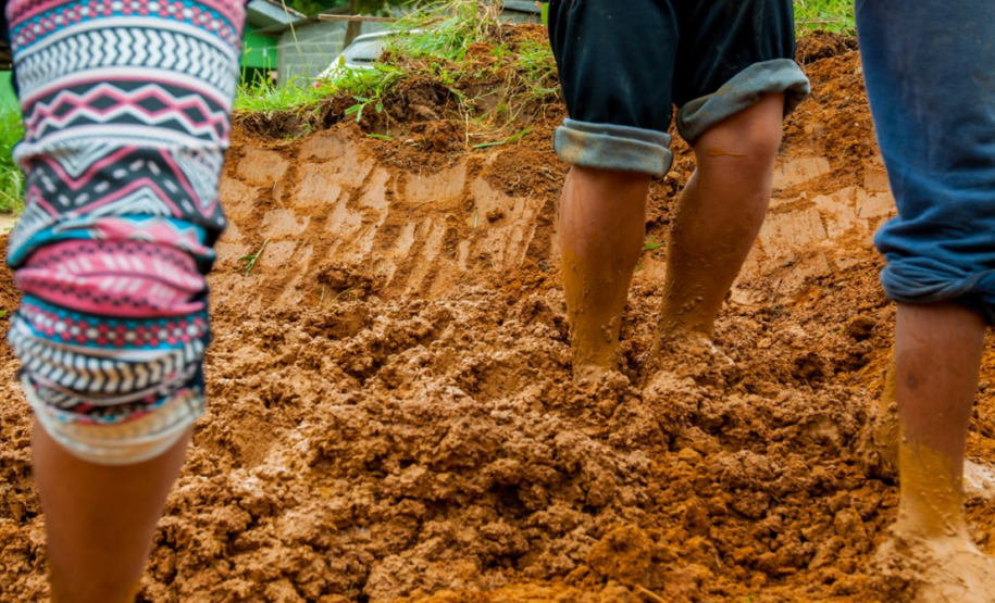 Intercâmbio de saberes ancestrais da população negra: jardim do MUPA recebe Feira de Sementes Quilombolas