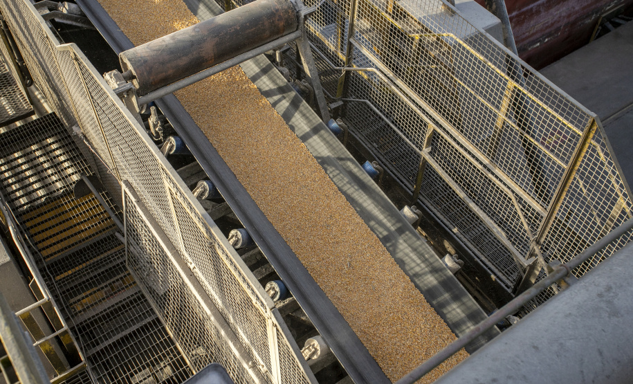 Volume de granéis embarcado a leste do Porto de Paranaguá aumenta 7,4% no 1º quadrimestre do ano