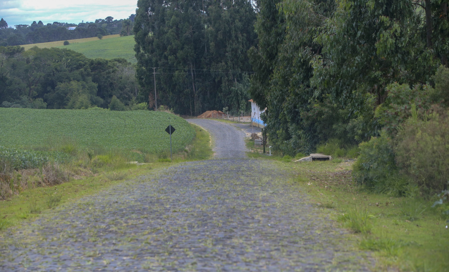 Estrada Rural na Comunidade de Ribeirão de Cima, em Teixeira Soares -