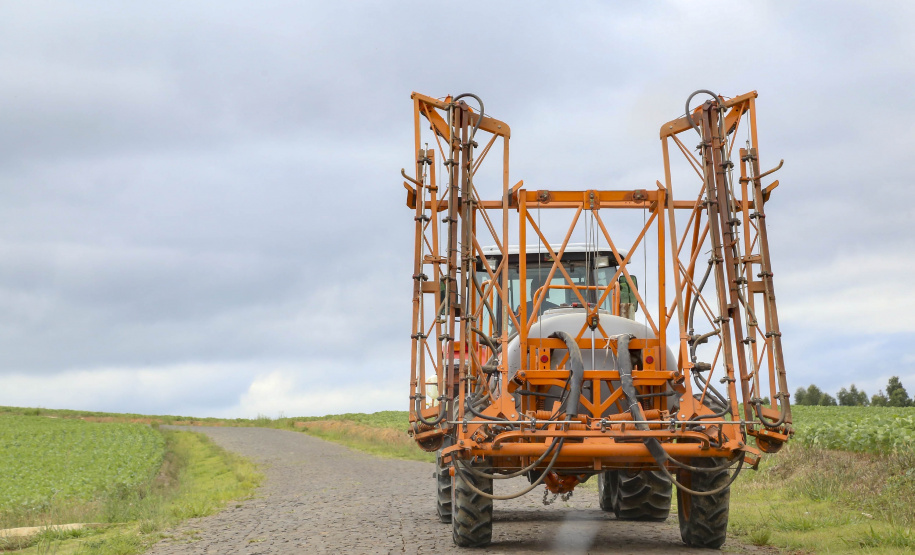 Estrada Rural na Comunidade de Ribeirão de Cima, em Teixeira Soares -