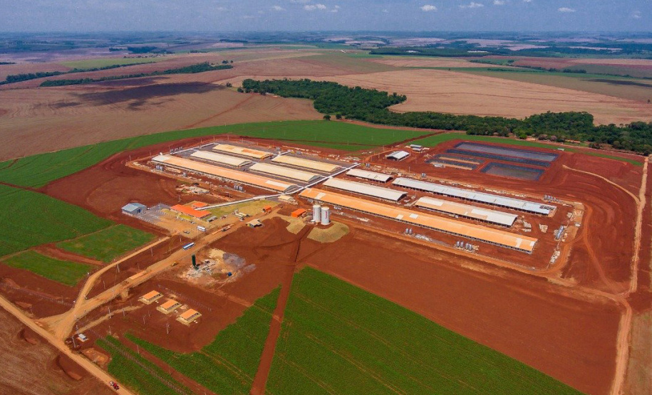 Status sanitário impulsiona investimentos em frigoríficos no Paraná