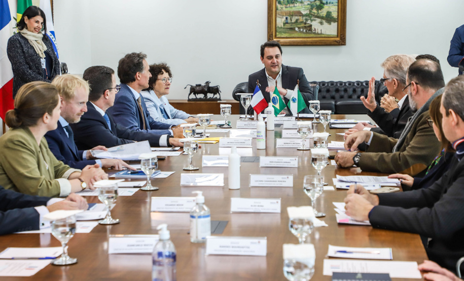 Embaixadora da França