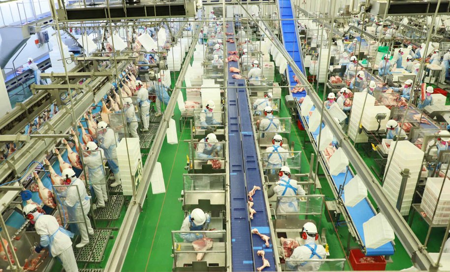 Status sanitário impulsiona investimentos em frigoríficos no Paraná