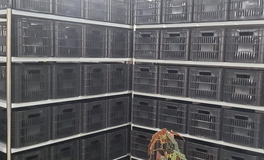 Com apoio do governo, Central de Recebimento de Alimentos atende famílias no Noroeste