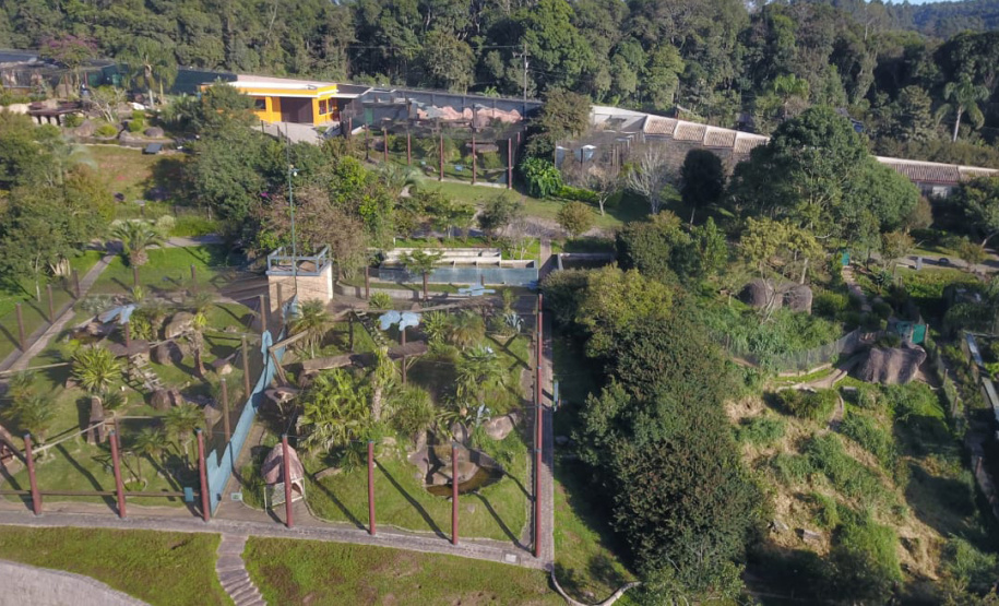 Criadouro Onça Pintada é reconhecido como Amigo da Fauna pelo Estado