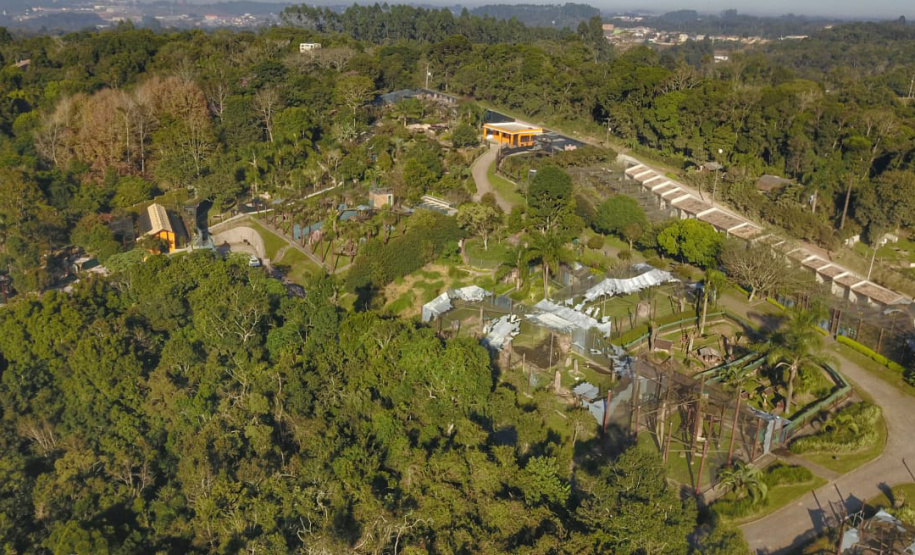 Criadouro Onça Pintada é reconhecido como Amigo da Fauna pelo Estado