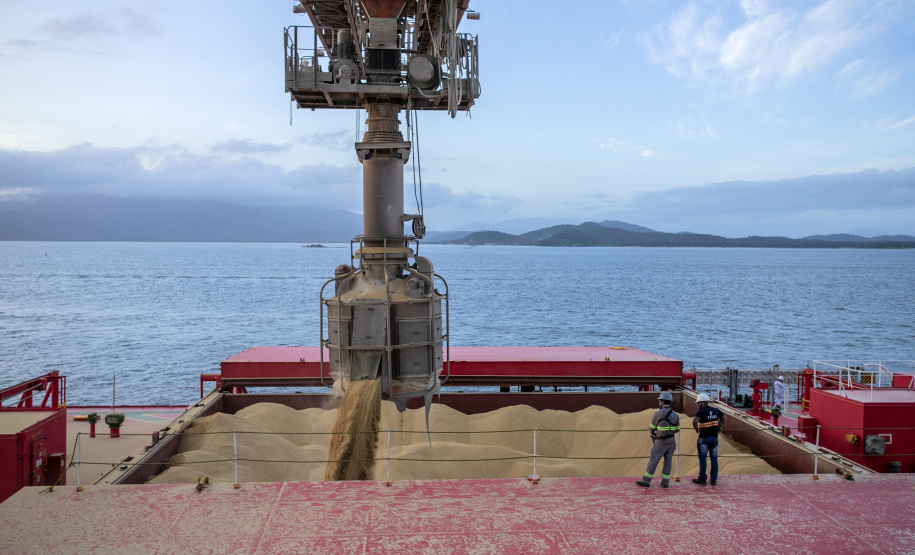 Volume de granéis embarcado a leste do Porto de Paranaguá aumenta 7,4% no 1º quadrimestre do ano