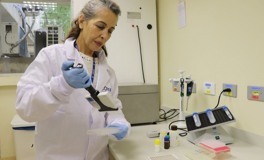 Com laboratório especializado, Tecpar assegura ausência de glúten em alimentos