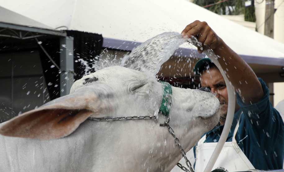 Abertura da Expoingá