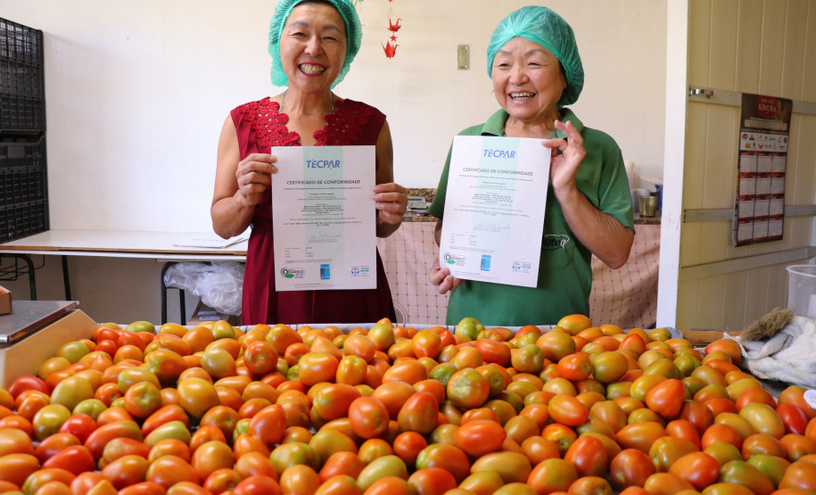Ônibus do Emprega Mais Paraná leva mais de 200 vagas para Foz do Iguaçu