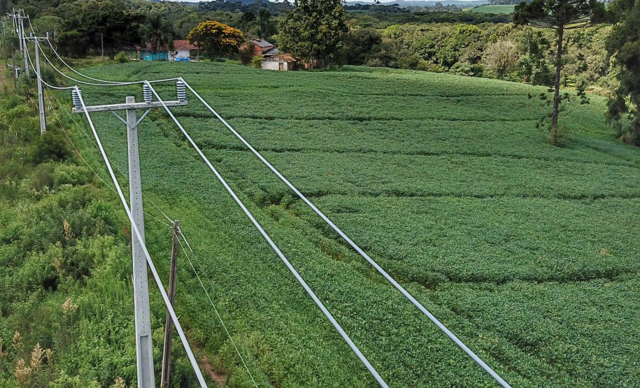 PR Trifásico já alcança 7.913 quilômetros de novas redes rurais em todo o Paraná