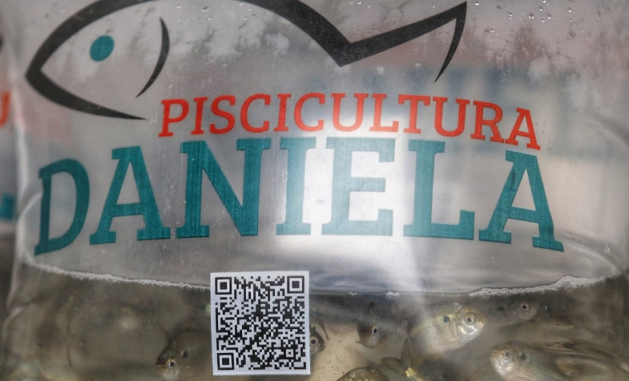 Programa Rio Vivo contribui com repovoamento de 500 mil peixes nativos na RMC