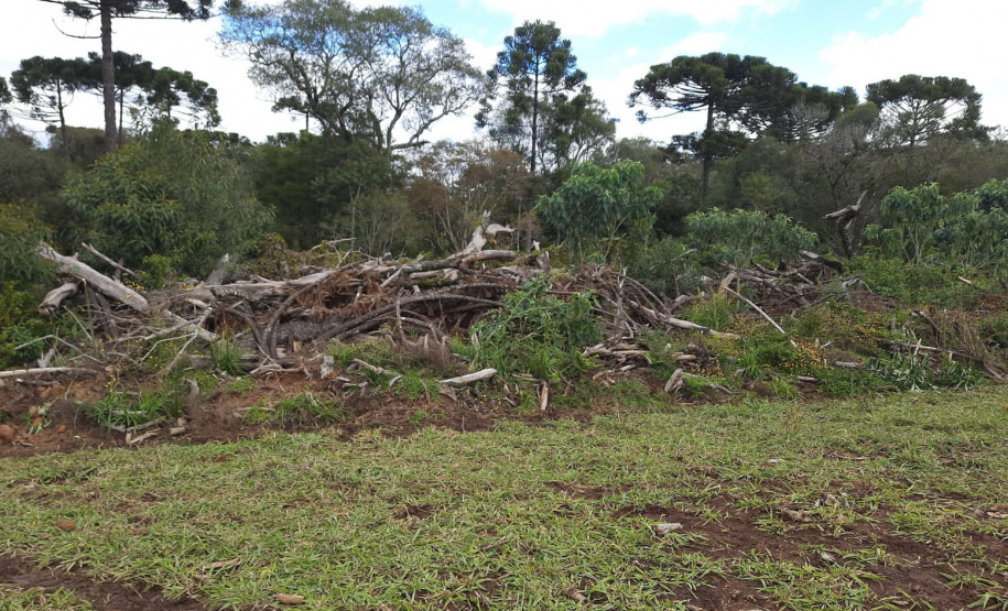Fiscalização do IAT identifica 336 hectares de desmatamento e resulta em multas de R$2,33 milhões