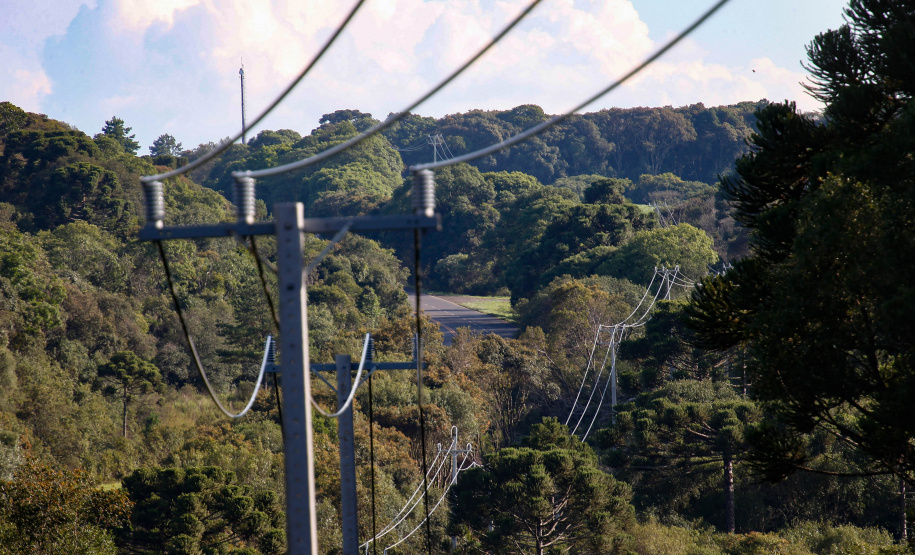 PR Trifásico já alcança 7.913 quilômetros de novas redes rurais em todo o Paraná
