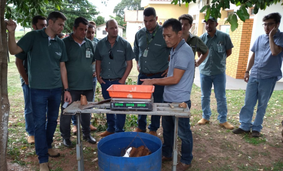 Novas tecnologias na produção de mandioca é tema de capacitação de técnicos do setor