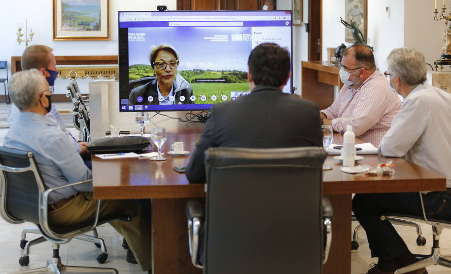 PARANÁ  UM ANO DE SELO INTERNACIONAL DE ÁREA LIVRE DE FEBRE AFTOSA SEM VACINAÇÃO