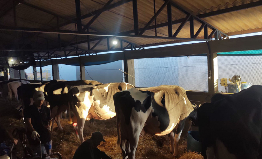 O vice-governador Darci Piana e o secretário de Estado da Agricultura e do Abastecimento, Norberto Ortigara, participaram nesta quinta-feira (12) da abertura da 15ª ExpoFrísia, no pavilhão do Parque Histórico de Carambeí, na região dos Campos Gerais -