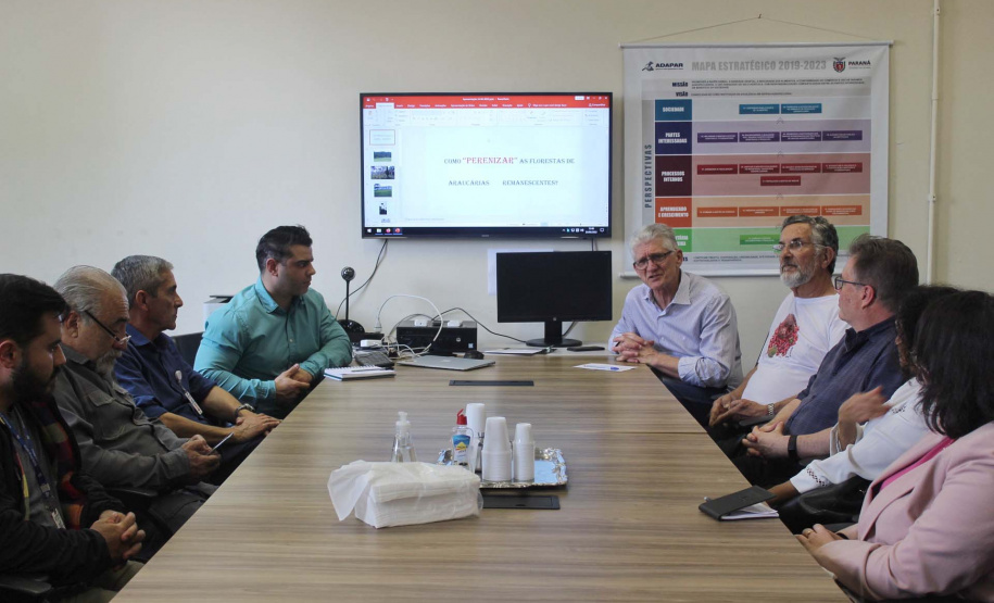 Debate técnico marca o Dia Mundial da Araucária