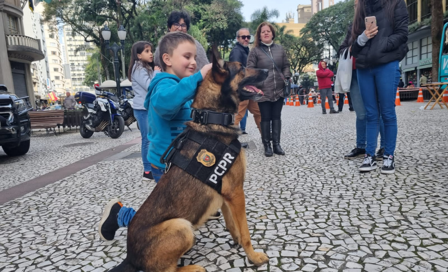 PCPR e Guarda Municipal de Curitiba promovem conscientização contra as drogas na Capital