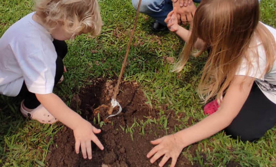 Paraná recebe convite pararenovar parceria com SCDB na neutralização de CO2