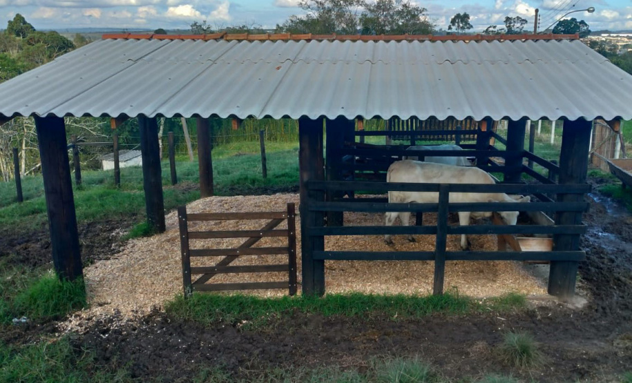 IDR-Paraná doa animais Purunã ao colégio agrícola de Palmeira