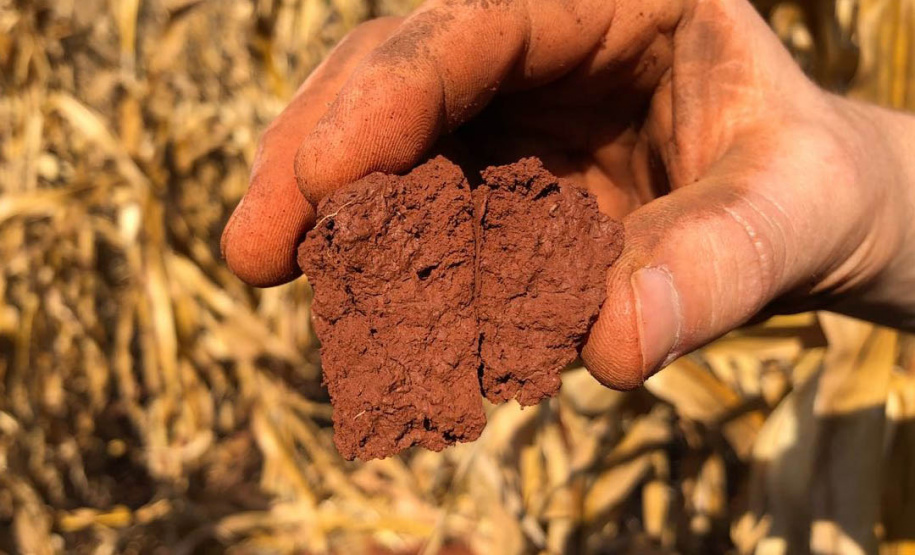 Estudo investiga mecanismos envolvidos na degradação do solo agrícola