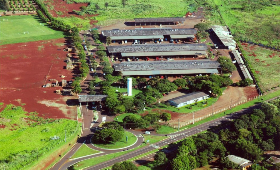 Ceasa de Maringá estará aberta na próxima quinta-feira, 16 de junho