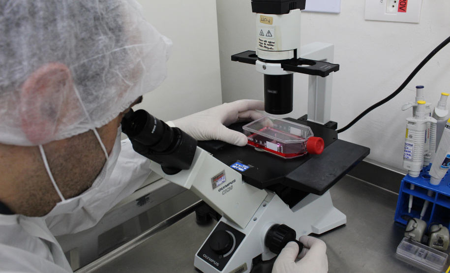 Realização de exame sorológico pelo Tecpar completa um ano, com foco na União Europeia e EUA - Na foto, profissionais do laboratório de sorologia do Tecpar realizam ensaios. O laboratório do Tecpar é credenciado no Centro para Controle e Prevenção de Doenças (CDC), dos EUA, e na agência francesa Anses-Nancy, laboratório de referência da UE