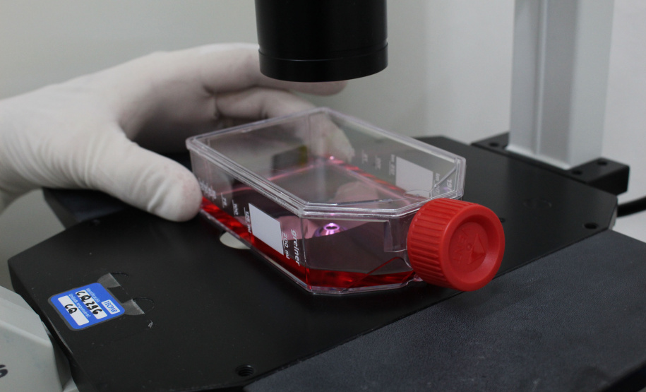 Realização de exame sorológico pelo Tecpar completa um ano, com foco na União Europeia e EUA - Na foto, profissionais do laboratório de sorologia do Tecpar realizam ensaios. O laboratório do Tecpar é credenciado no Centro para Controle e Prevenção de Doenças (CDC), dos EUA, e na agência francesa Anses-Nancy, laboratório de referência da UE