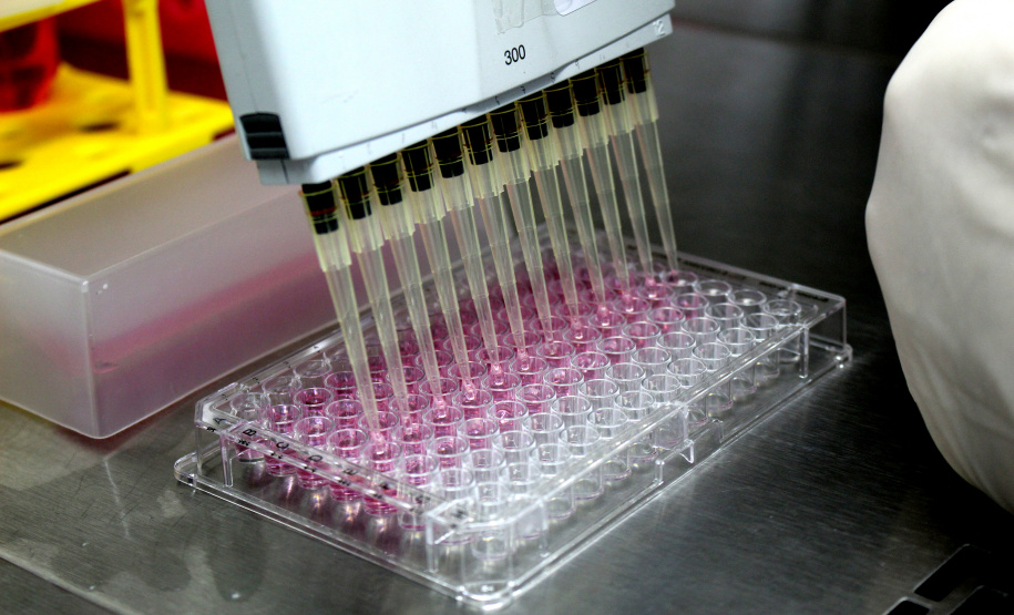 Realização de exame sorológico pelo Tecpar completa um ano, com foco na União Europeia e EUA - Na foto, profissionais do laboratório de sorologia do Tecpar realizam ensaios. O laboratório do Tecpar é credenciado no Centro para Controle e Prevenção de Doenças (CDC), dos EUA, e na agência francesa Anses-Nancy, laboratório de referência da UE