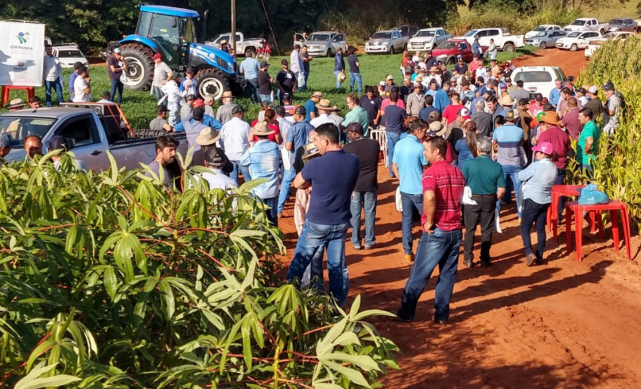 Dia de Campo do Projeto Mandioca Renda mostra resultados de cultivares