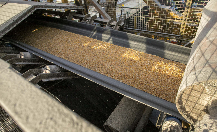Exportação de milho a granel sobe 161% pelo Porto de Paranaguá