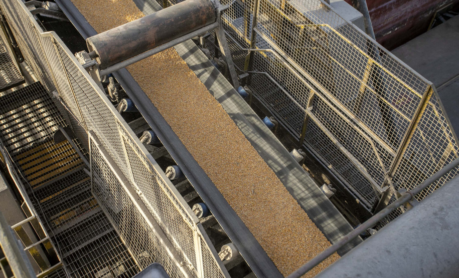 Exportação de milho a granel sobe 161% pelo Porto de Paranaguá