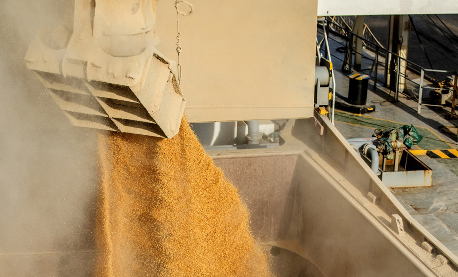 Exportação de milho a granel sobe 161% pelo Porto de Paranaguá