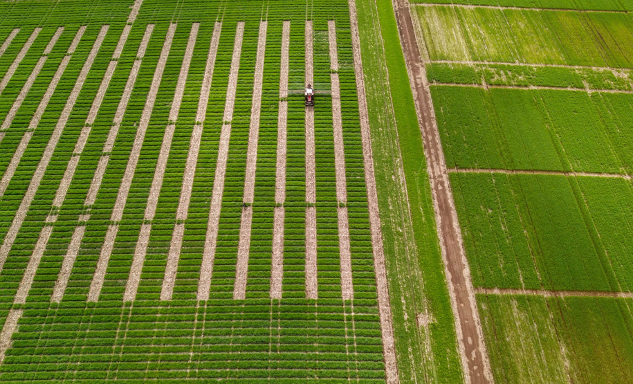 Adapar alerta sobre suspensão do agrotóxico carbendazin