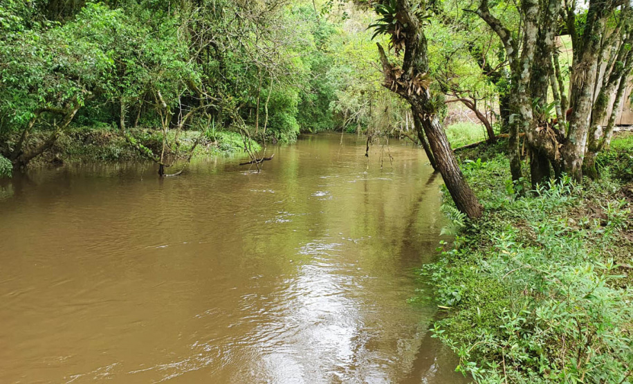 Estado promove formação de professores para o projeto de educação fiscal nas escolas