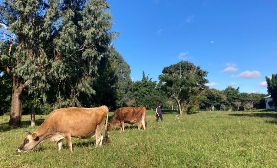 IDR-Paraná participa do maior evento agroecológico do país