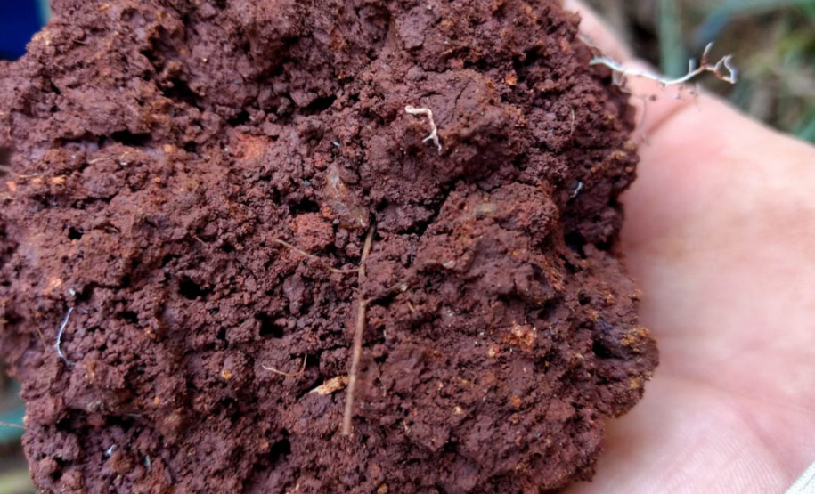 Estudo investiga mecanismos envolvidos na degradação do solo agrícola