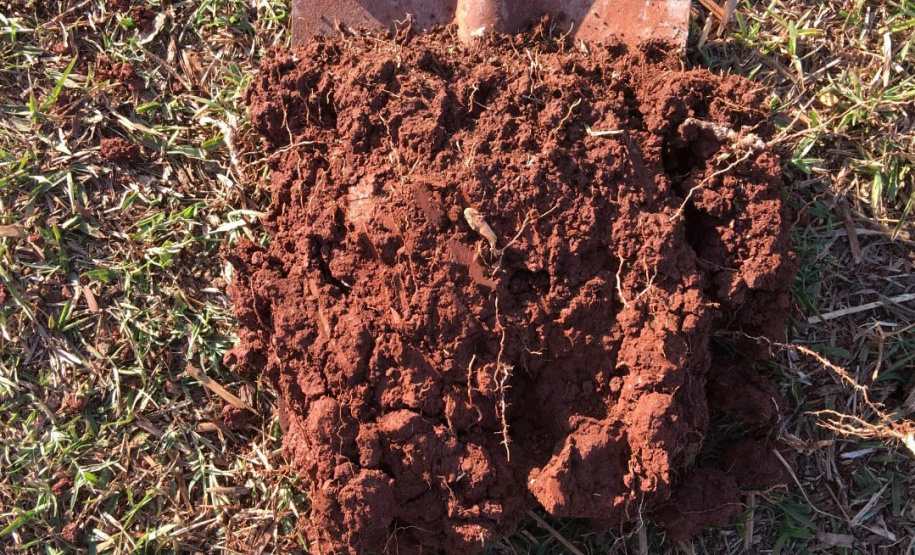 Estudo investiga mecanismos envolvidos na degradação do solo agrícola