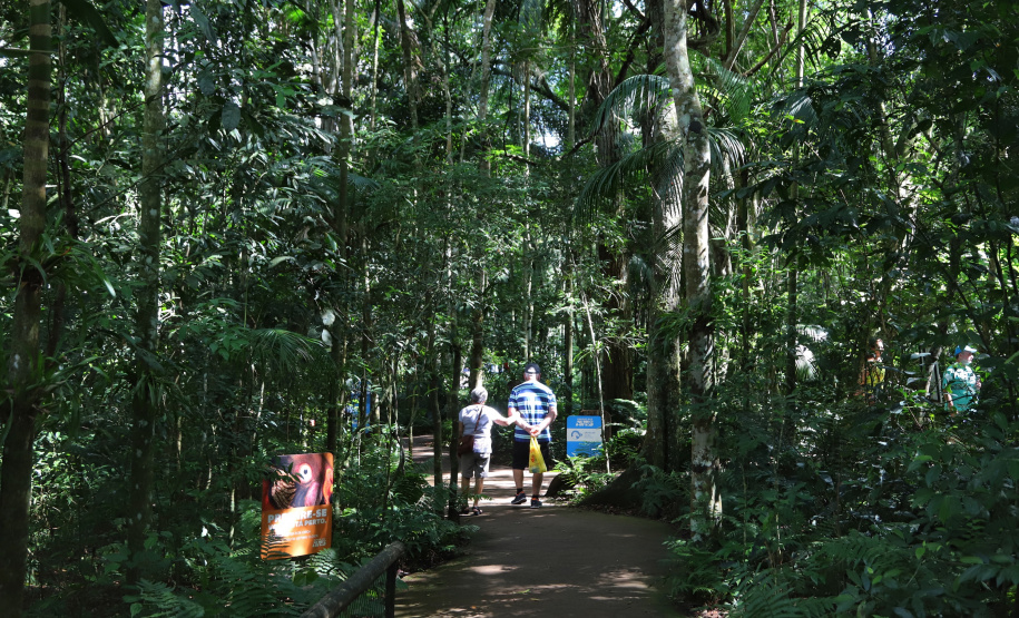 Com apoio do Estado, Foz do Iguaçu prevê crescimento nos próximos anos